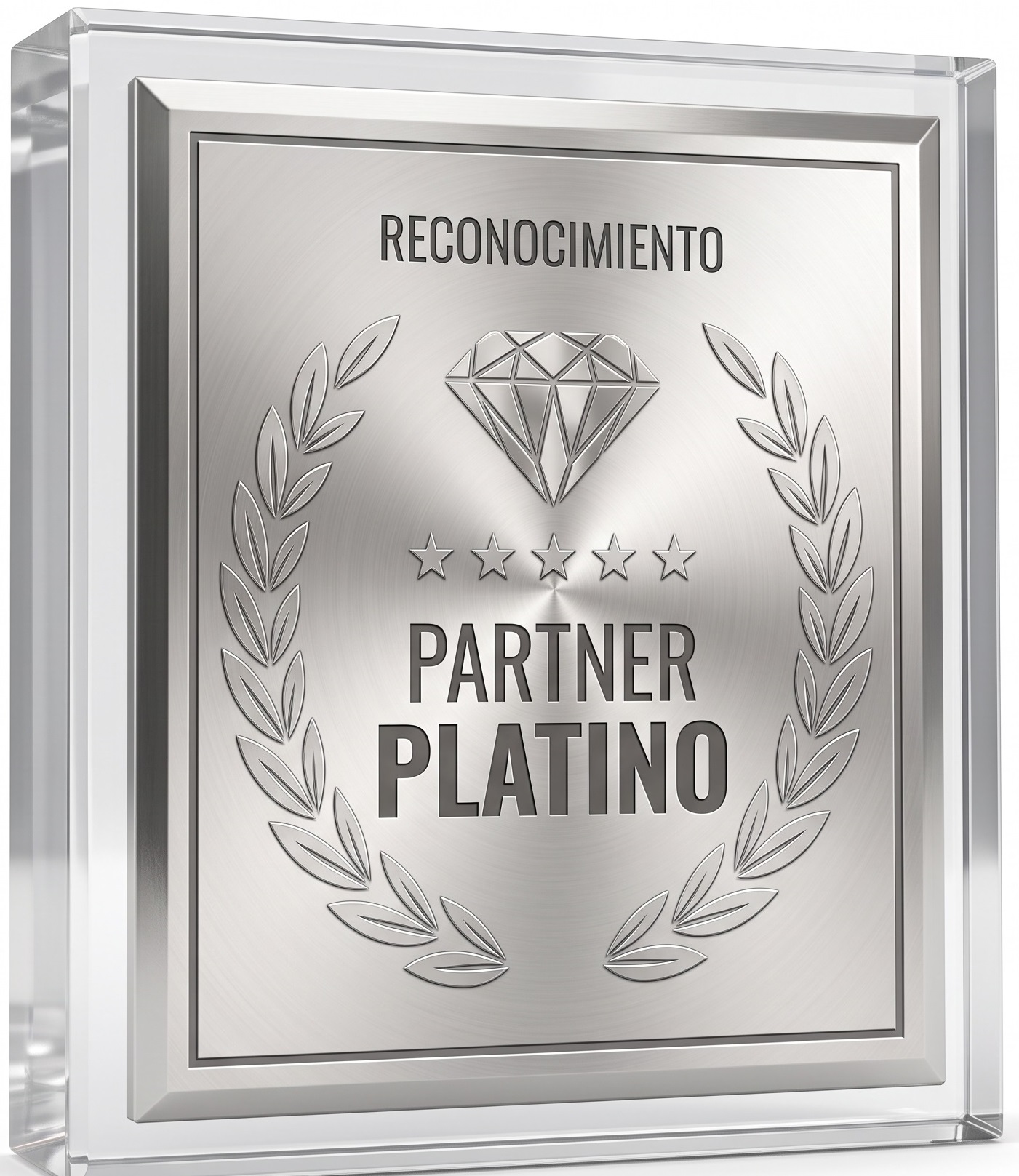 Reconocimiento Partner Platino